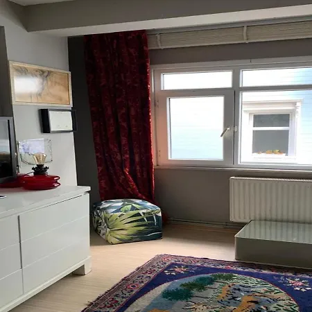 2 Bedroom Deluxe House In The City Center Istanbul